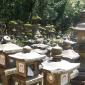 Kasuga-taisha