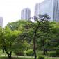 Shimbashi-Hama Rikyu park